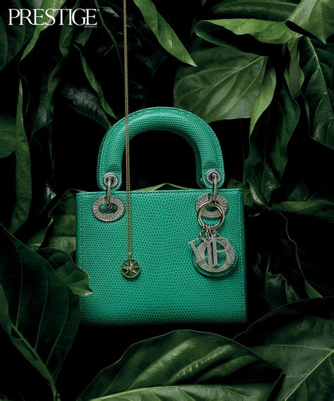 dior exotic bag|Dior bag website.